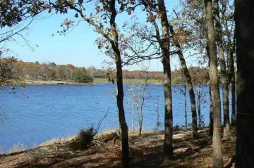 Lakefront Wooded Lot in Larue, TX