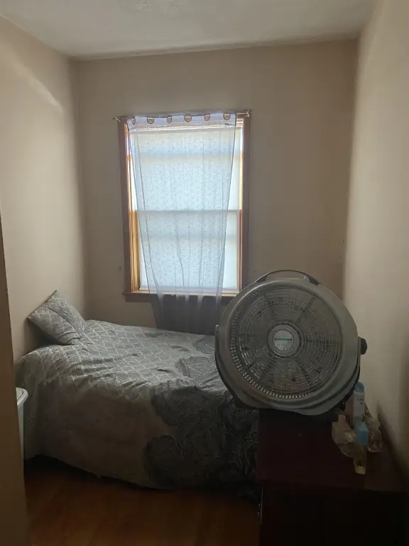 Picture 29