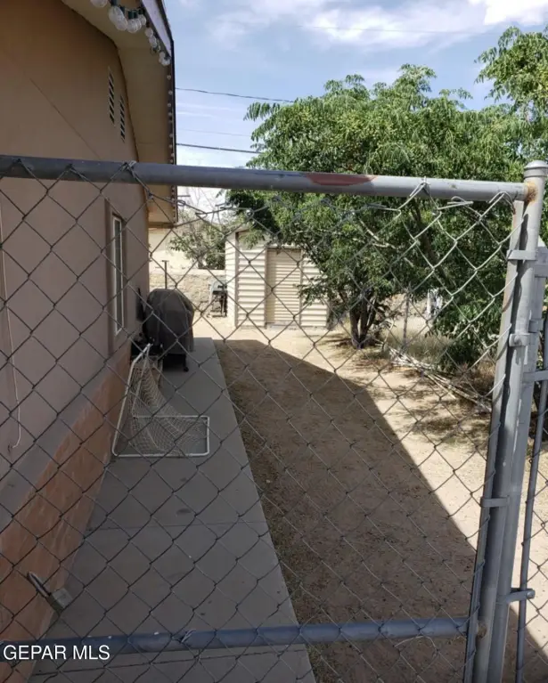 Picture 21