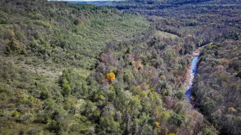 Secluded Hunting Land Near Windber, PA