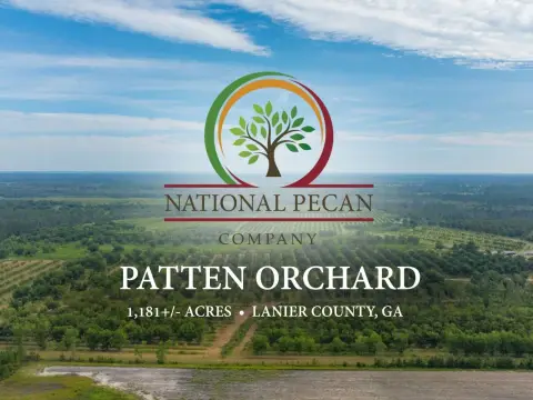 Income-Producing Pecan Orchard with Residence