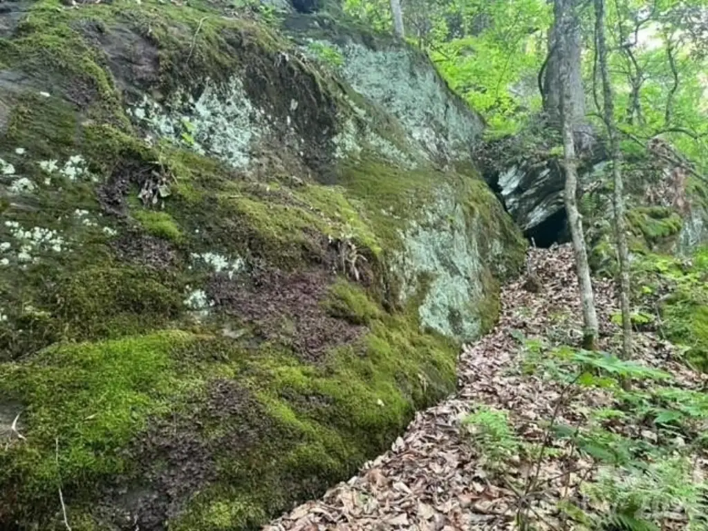 Picture 14