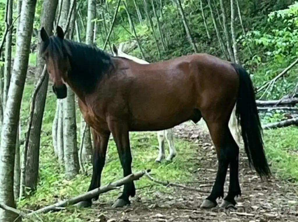 Picture 23