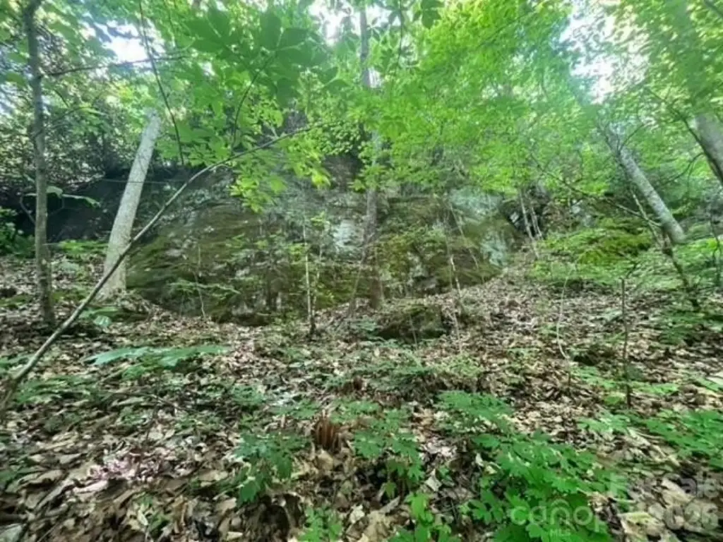Picture 13