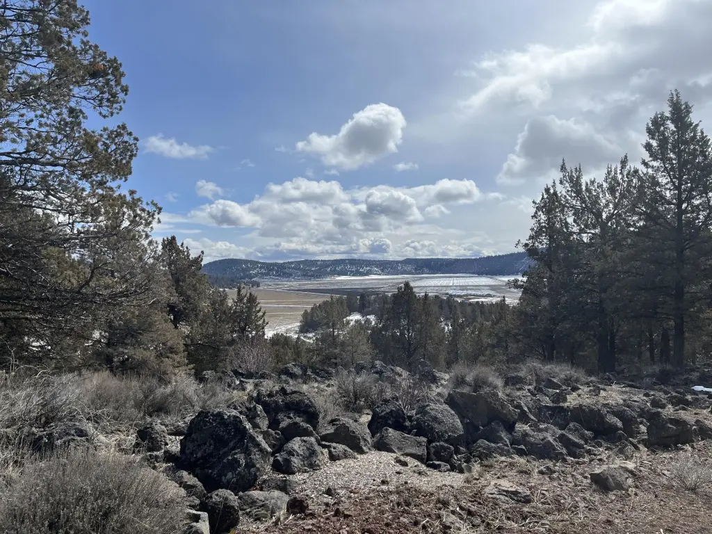 Picture 5