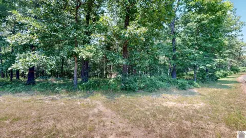 Wooded Lot Near Kentucky Lake