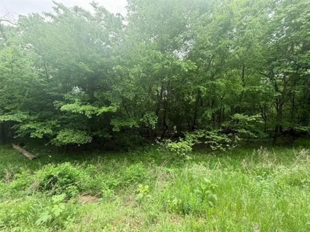 Picture 11