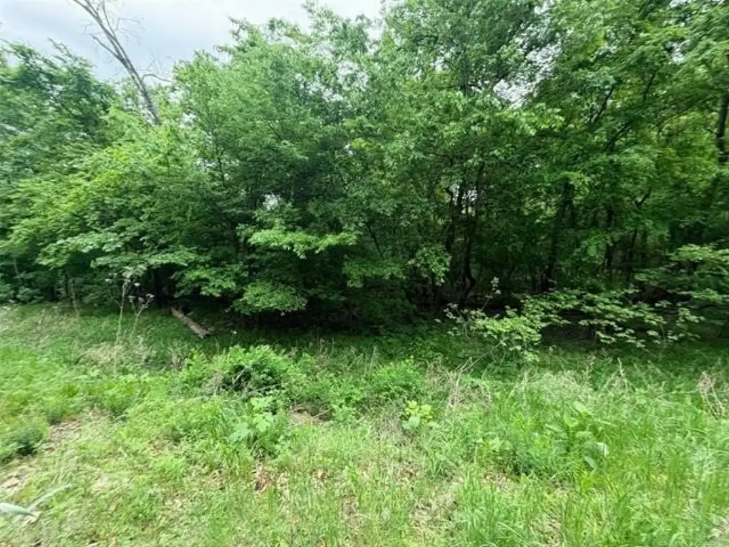Picture 14