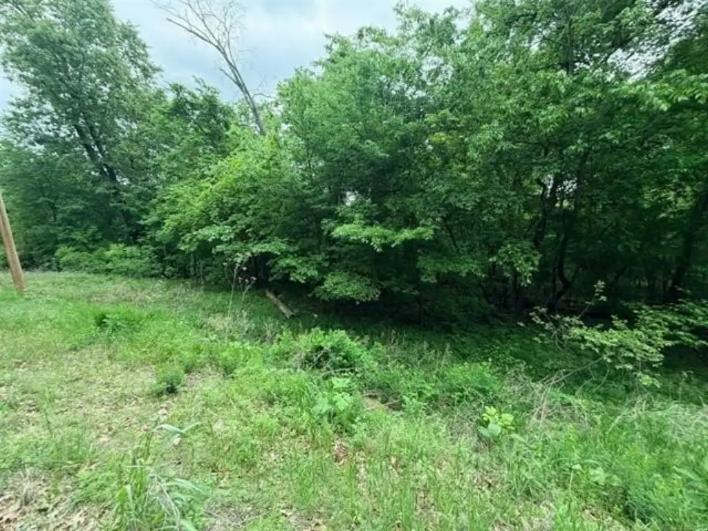 Picture 9