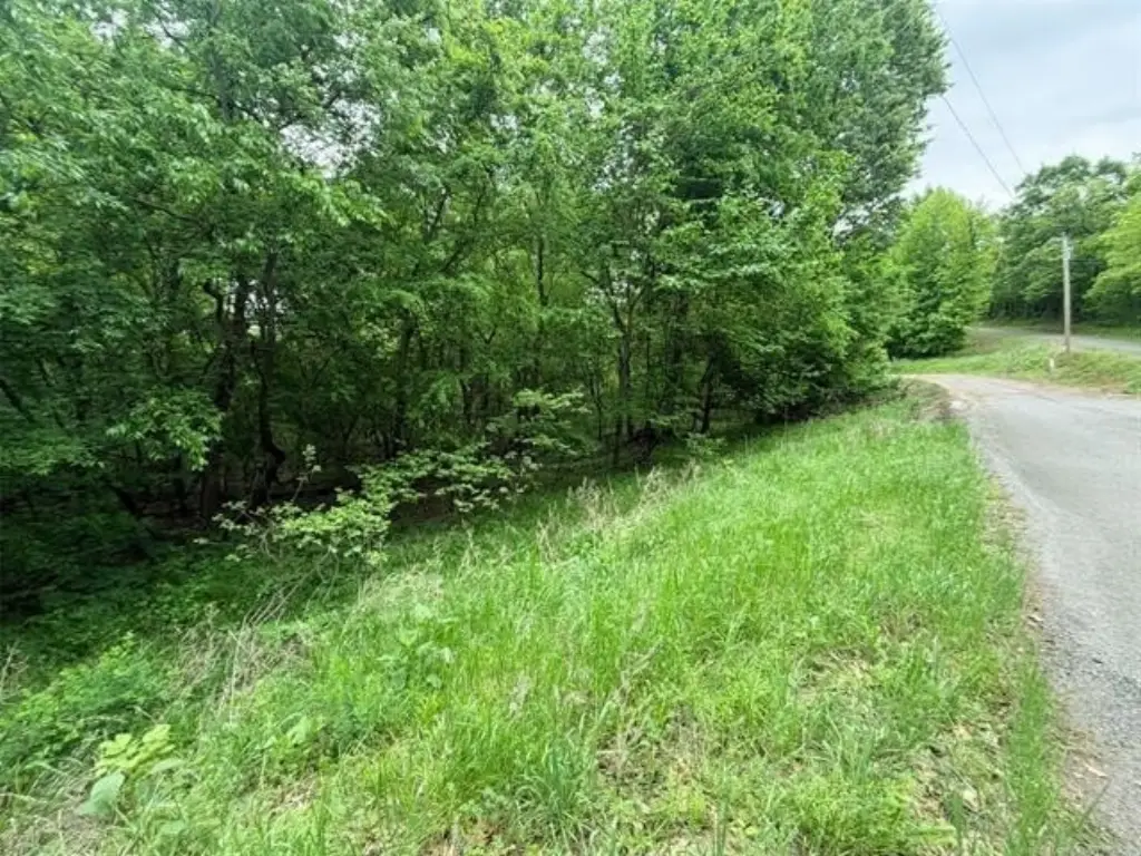 Picture 7