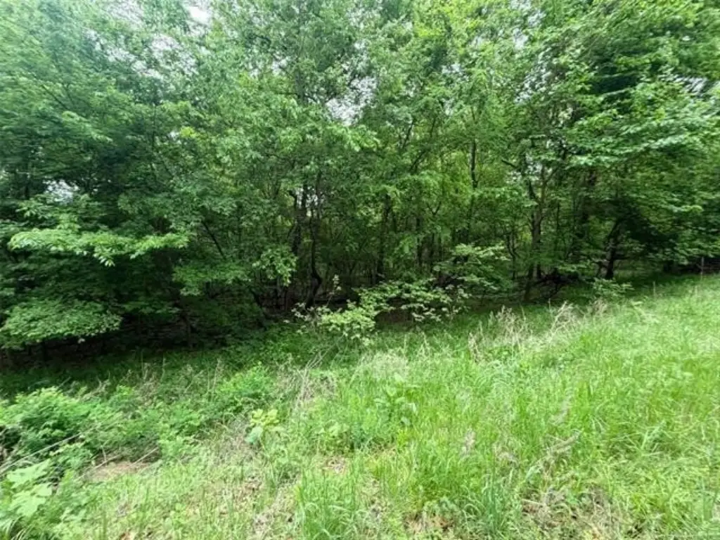Picture 15