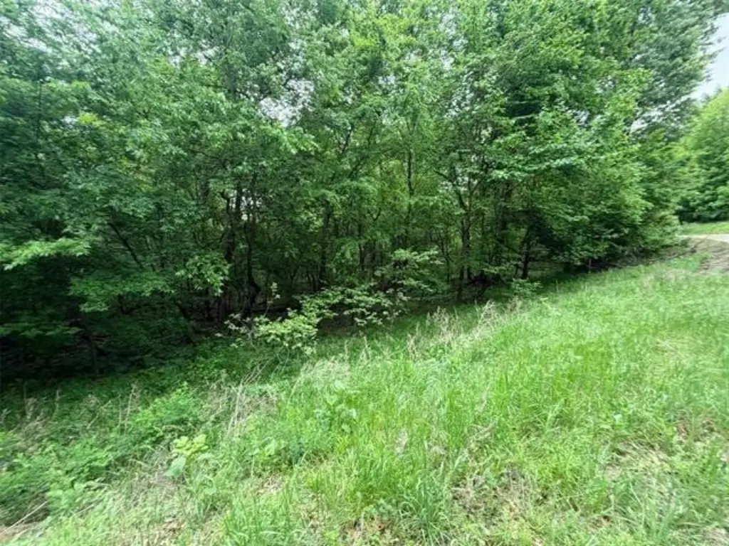 Picture 8