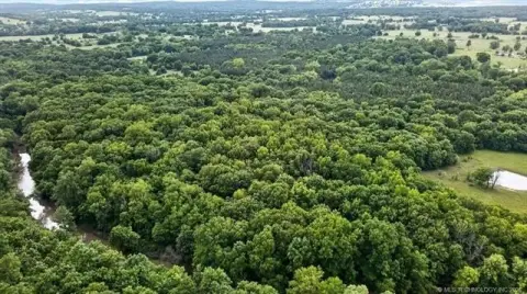 179 Acres with Live Creek