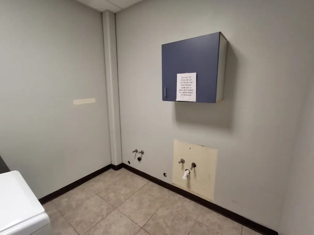 Picture 28