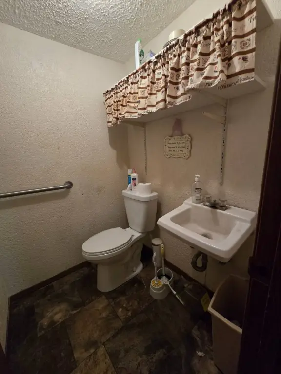 Picture 8