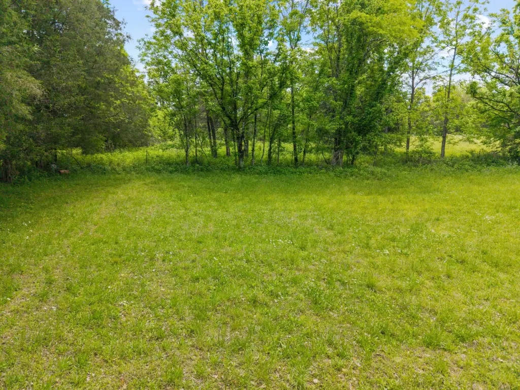 Picture 29