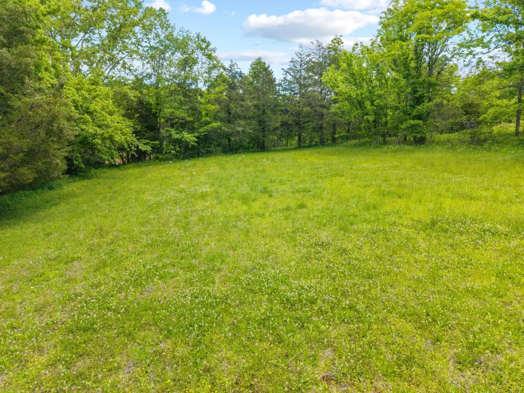 Picture 28