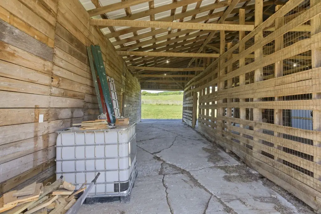 Picture 24