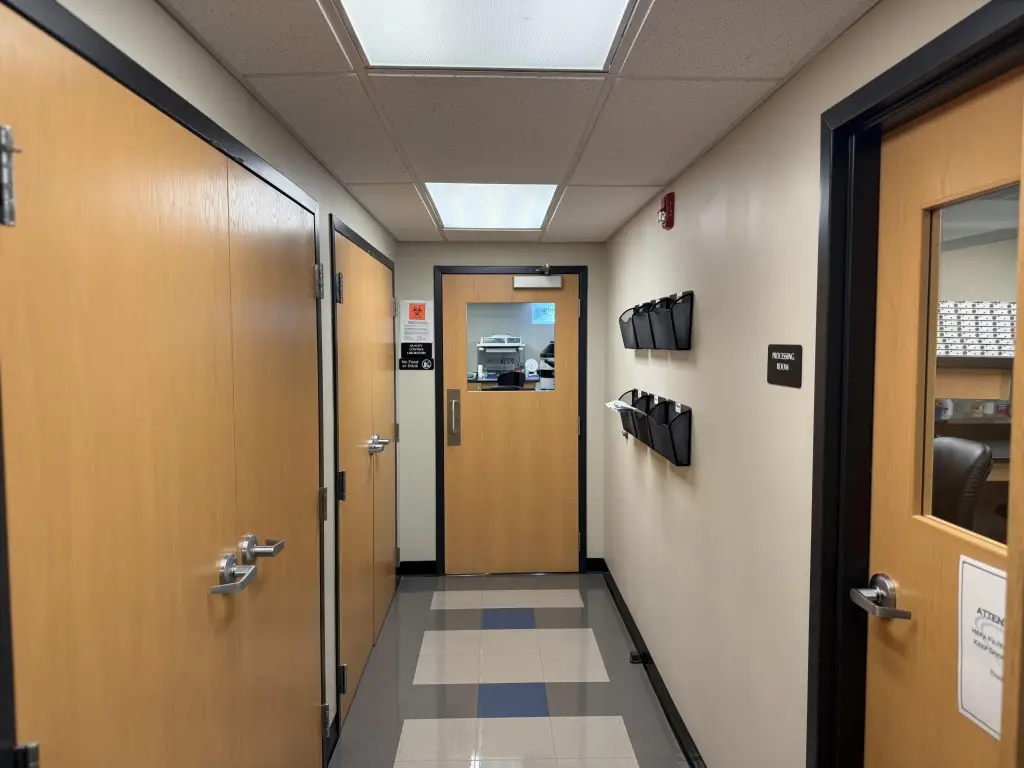 Picture 19