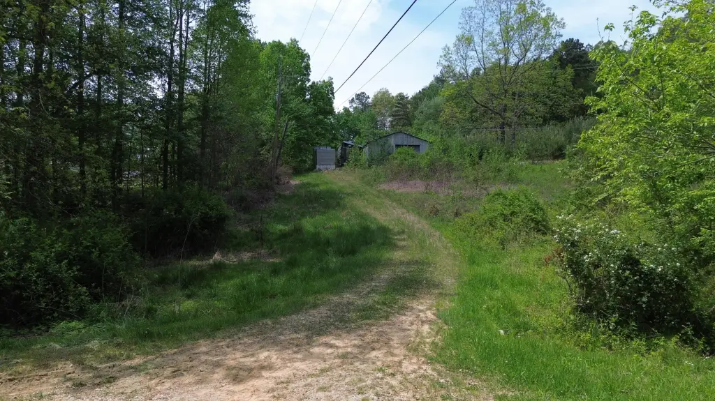 Picture 16