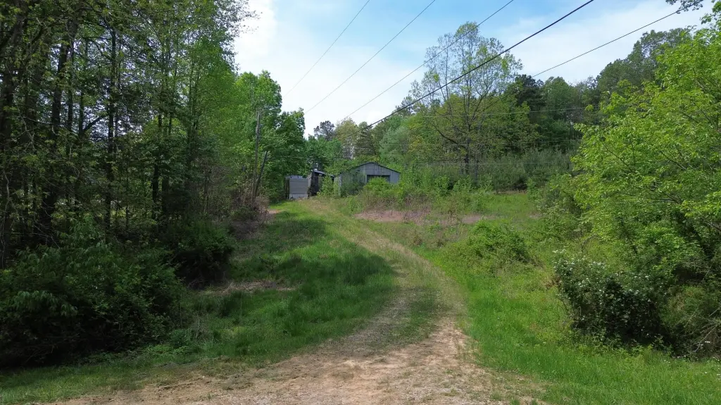 Picture 4