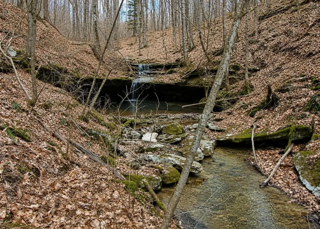 Picture 5