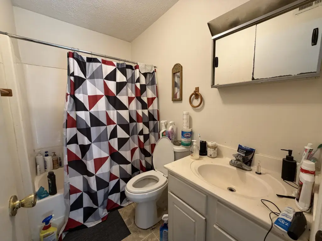 Picture 19