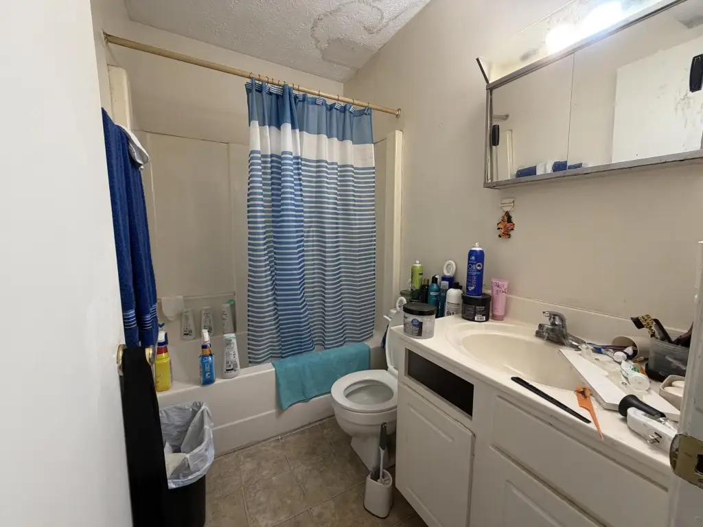 Picture 10