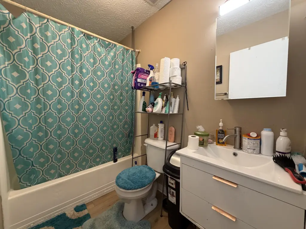 Picture 18
