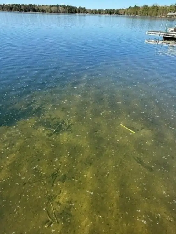 Picture 10