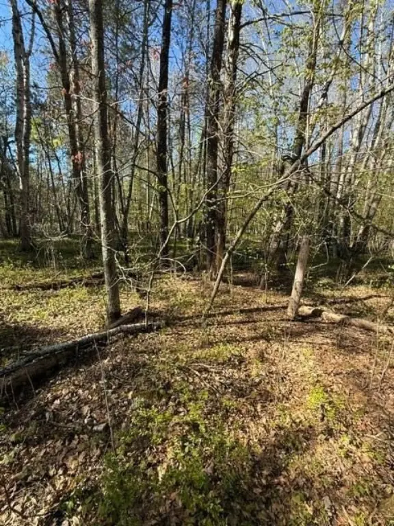 Picture 14