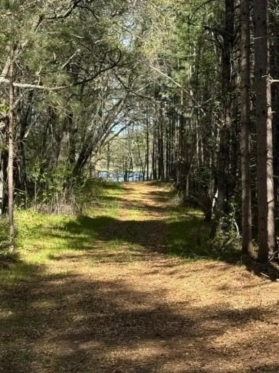 Picture 17