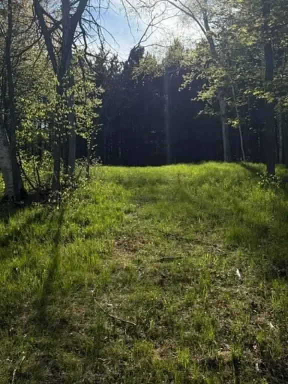 Picture 28