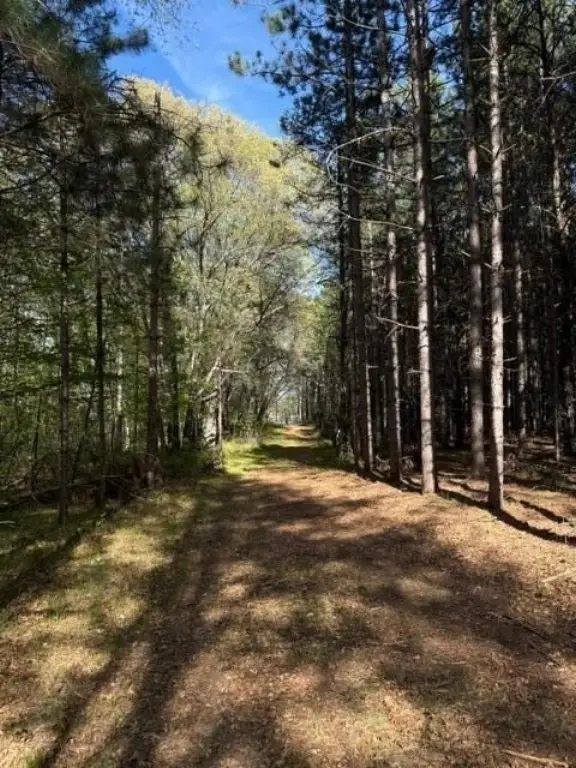 Picture 19