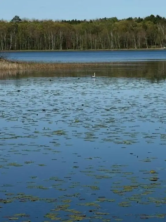 Picture 27