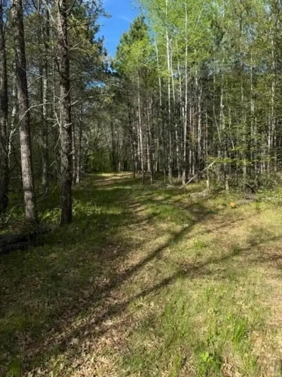 Picture 10