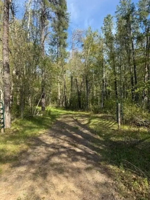 Picture 14