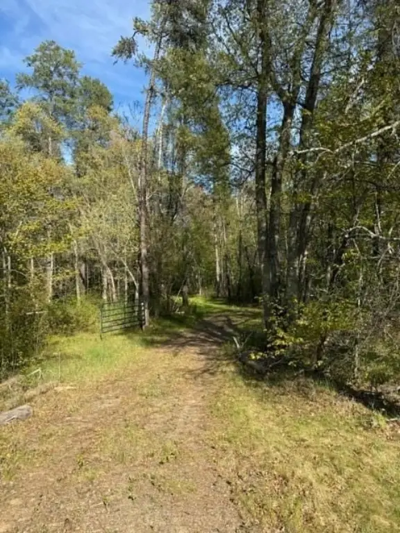 Picture 13