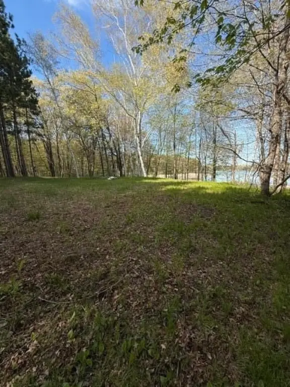 Picture 23