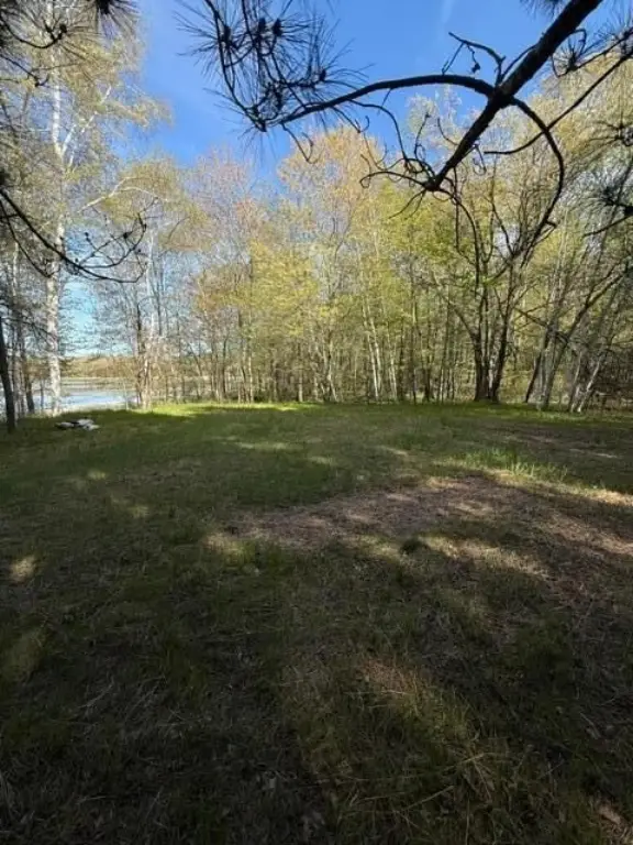 Picture 24