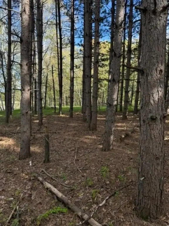 Picture 16