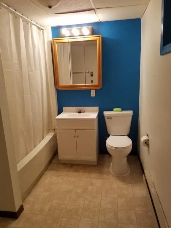 Picture 7