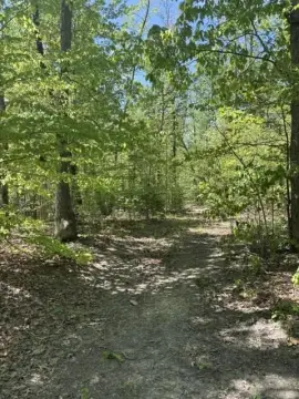 Wooded Hunting Land