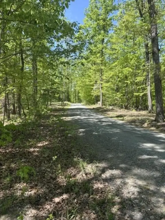 Picture 2