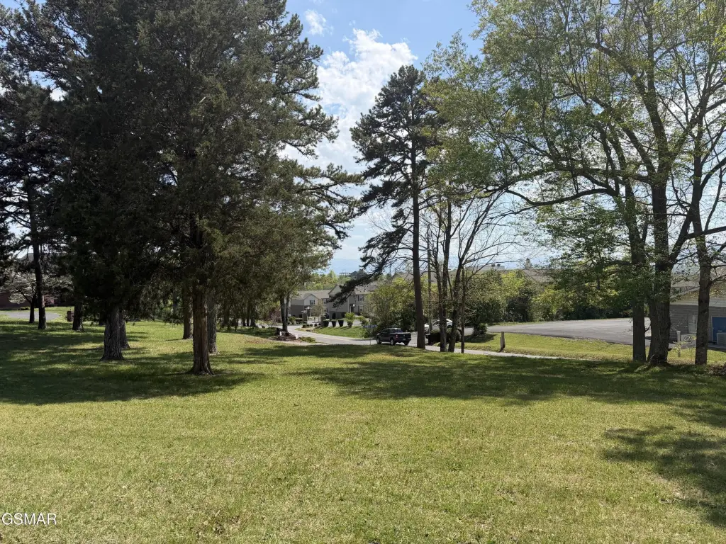 Picture 10