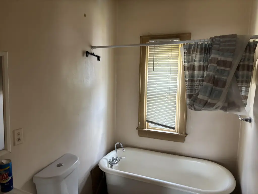 Picture 12