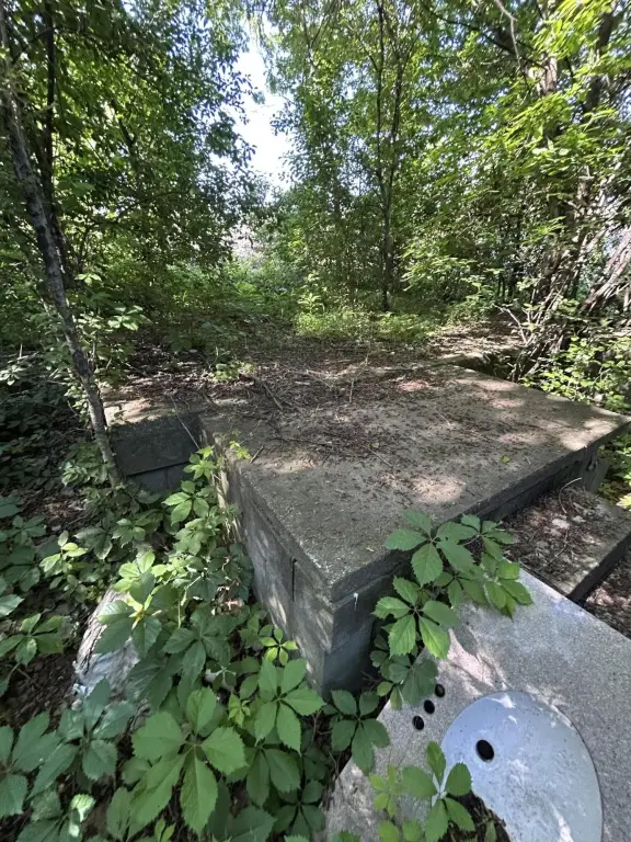 Picture 15