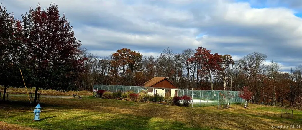 Picture 4