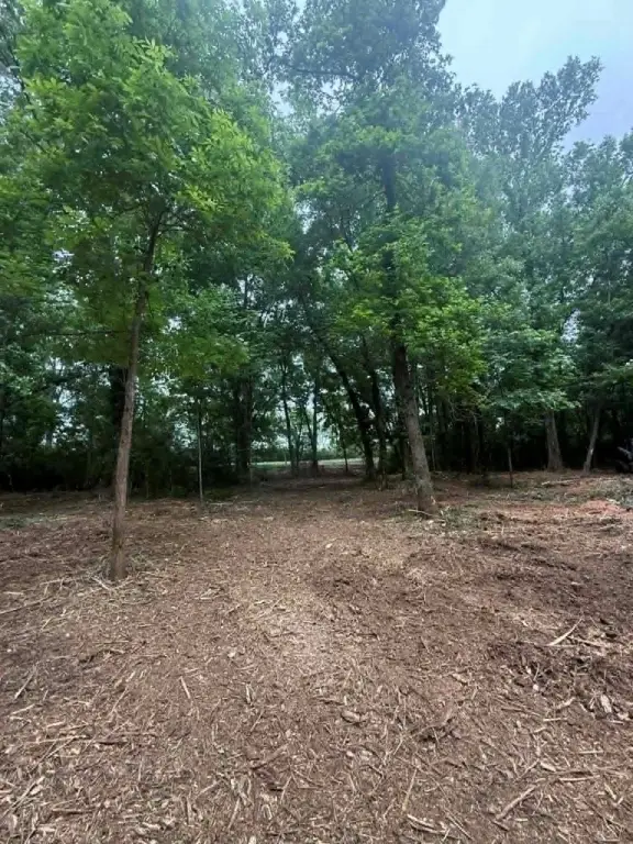 Picture 3