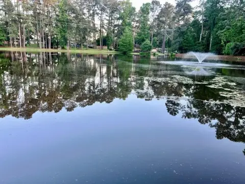 Residential Land in Peaceful Neighborhood